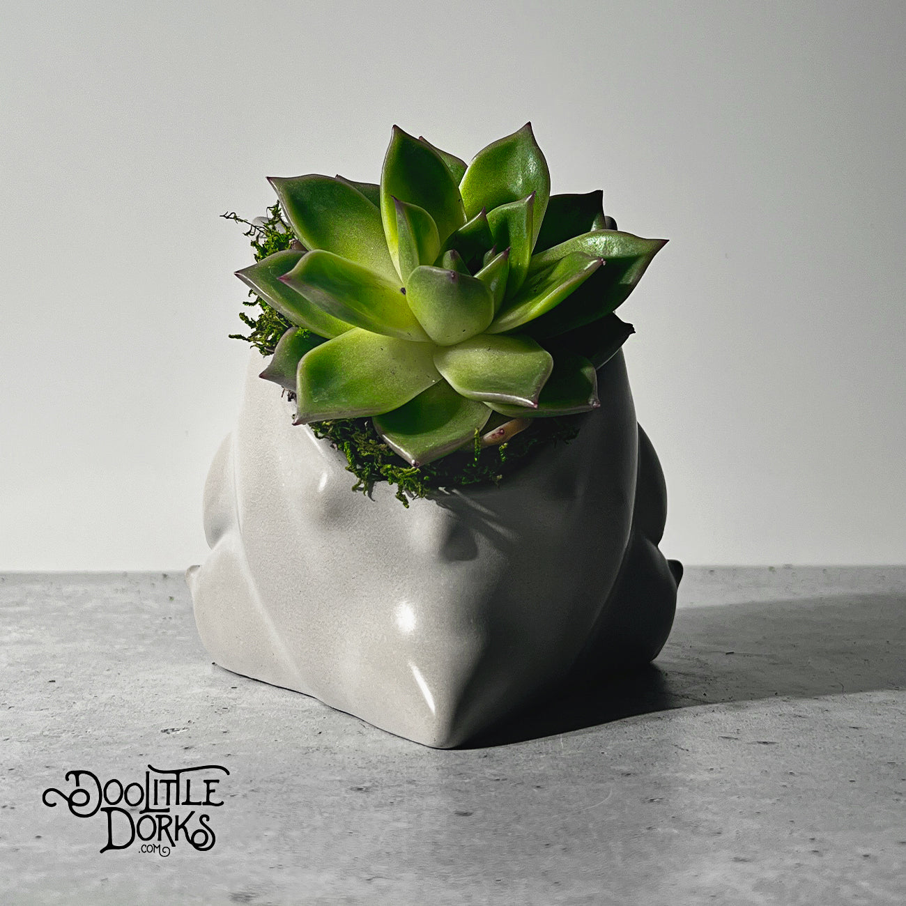 Concrete Planter #094