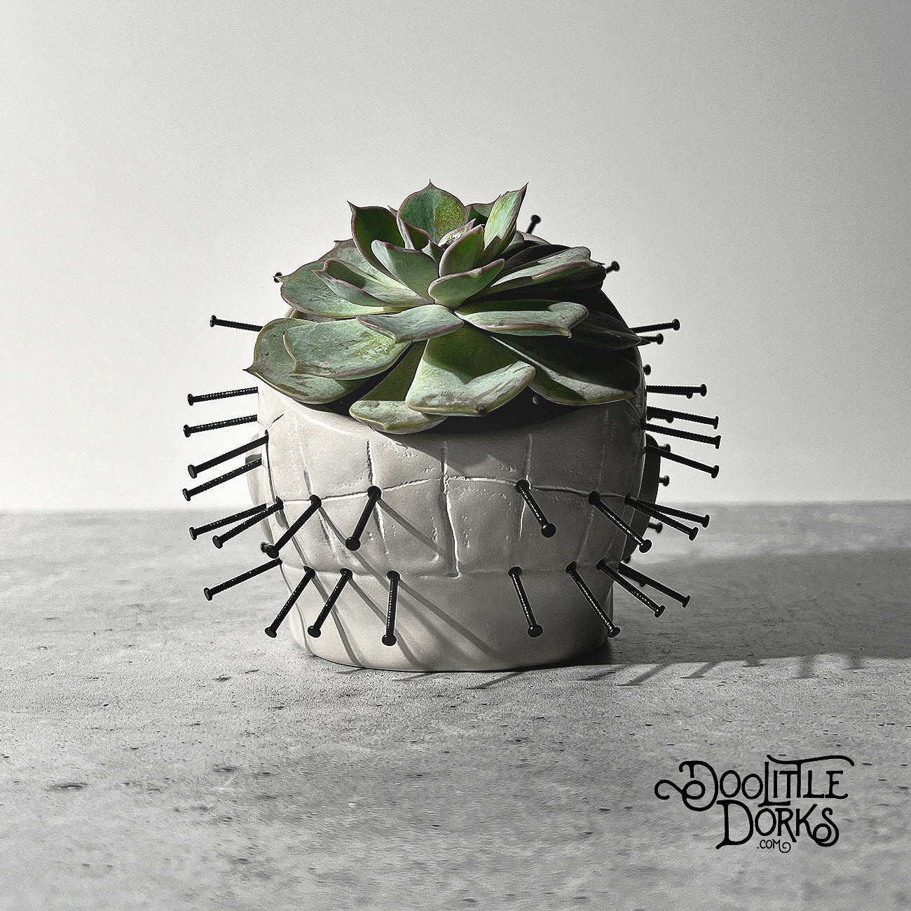 Pinhead Concrete Planter