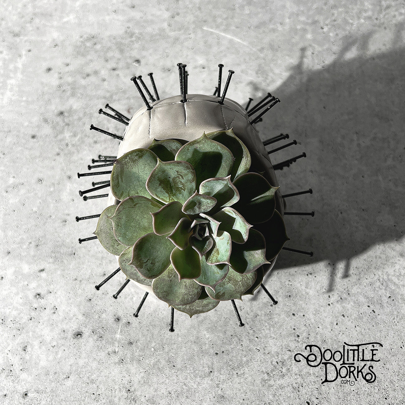Pinhead Concrete Planter