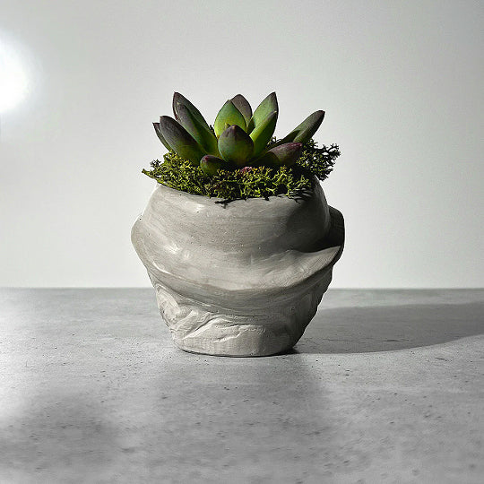 Freddy Concrete Planter | Small