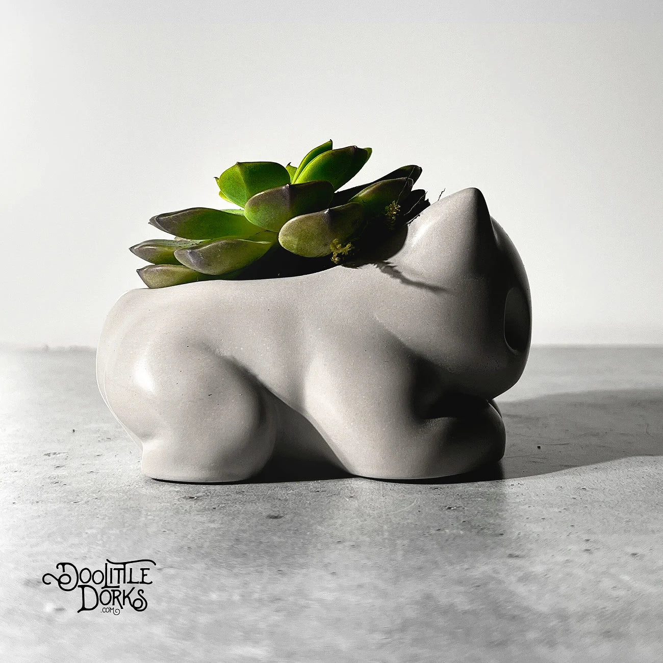Concrete Planter #002