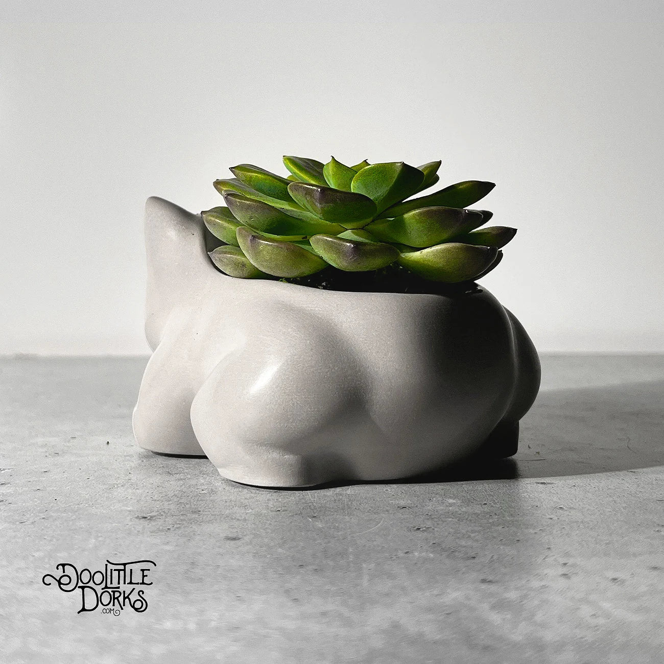 Concrete Planter #002