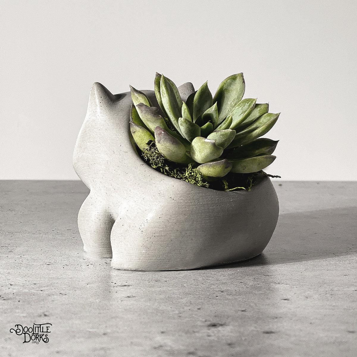 Concrete Planter #001