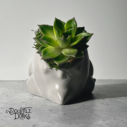 Concrete Planter #094