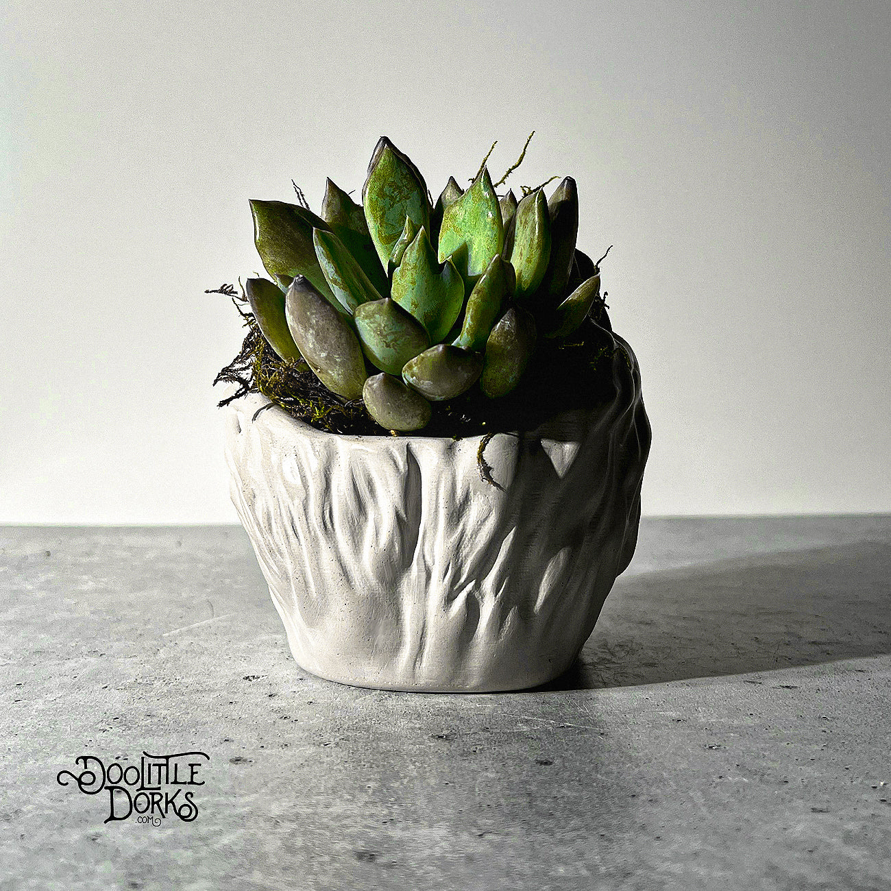 Skin Face Concrete Planter
