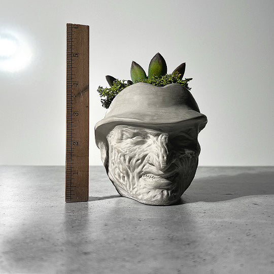 Freddy Concrete Planter | Small