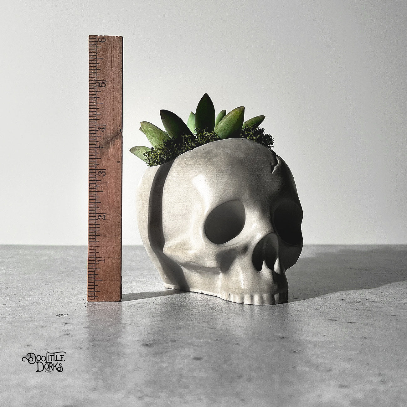 Skull Concrete Planter