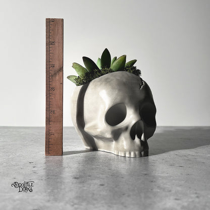 Skull Concrete Planter