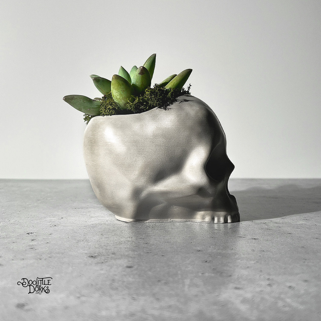 Skull Concrete Planter