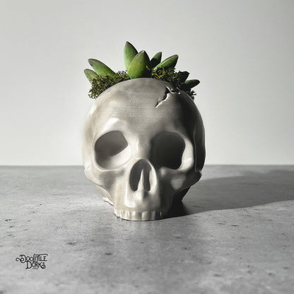 Skull Concrete Planter