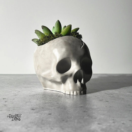 Skull Concrete Planter