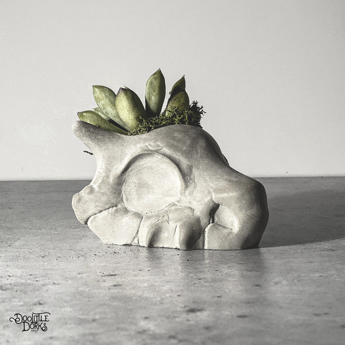 Concrete Planter #104