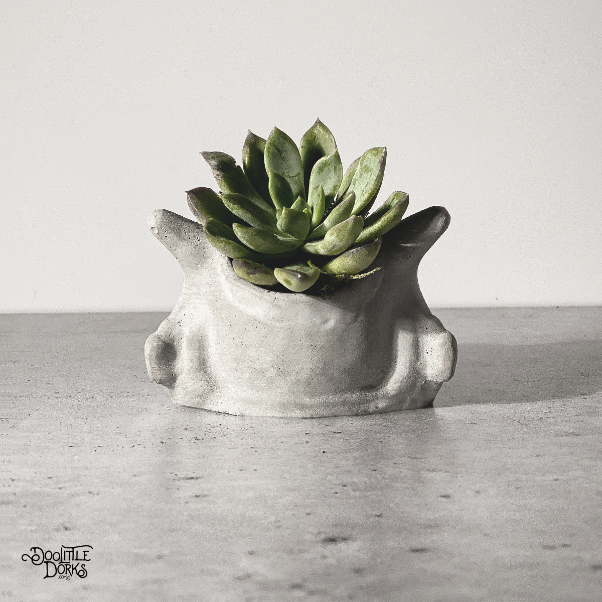 Concrete Planter #104