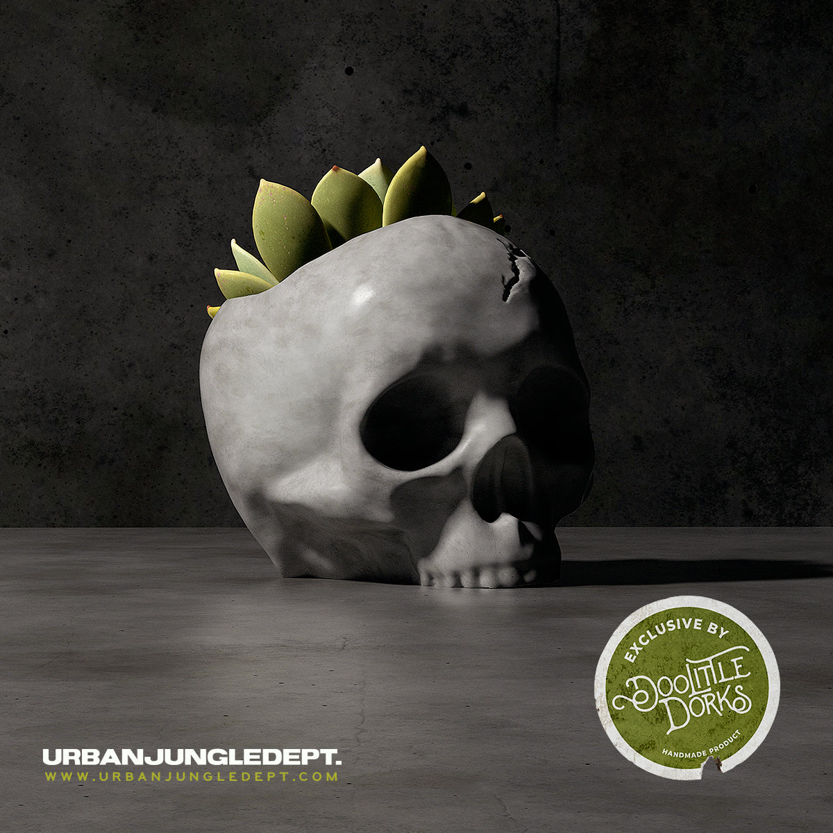 Skull Concrete Planter